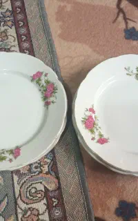 بشقاب گل سرخی