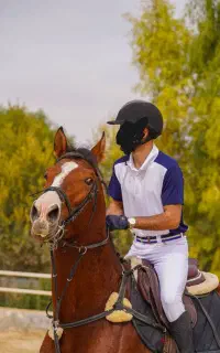 اسب اصیل مسابقه