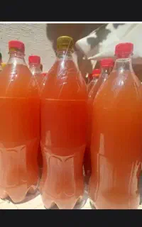 آبغوره 230 و عرق کاسنی خانگی