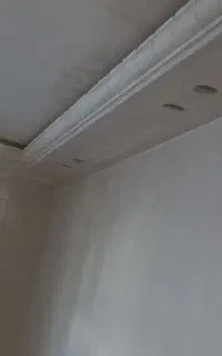 اوسا گچکار وارد