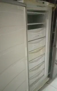 فریزر ایستاده ارج