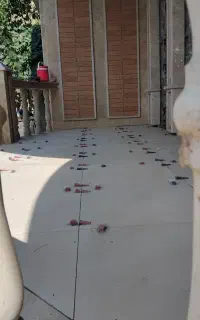 کارگر سنگ کاری و سرامیک کاری