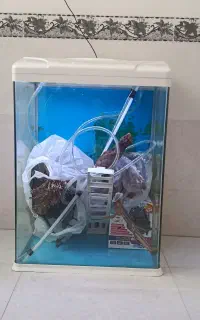 آکواریوم شرکت آکوا