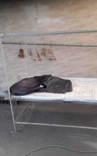میز میوه فروشی