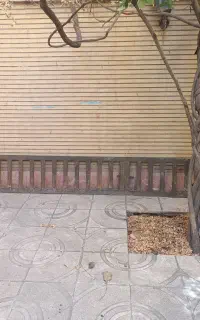 پل آهنی