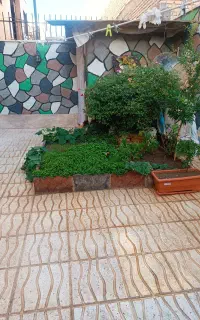 اجاره خونه