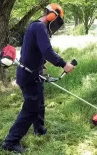 علفزنی باغات بصورت نقد و چکی