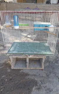 قفس پرنده
