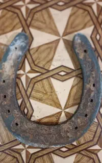 فروش نعل
