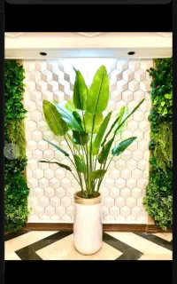 مرکز پخش درختچه به قیمت عمده