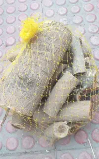 هیزم خشک