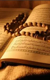 سرکتاب ف.ال
