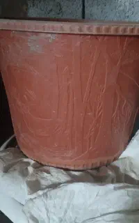 گلدان در نوع