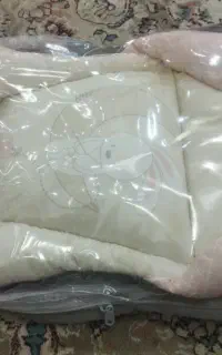 اغوشی