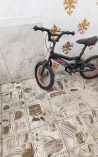 دوچرخه