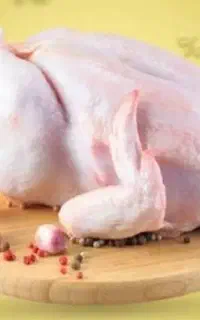 مرغ و ماهی