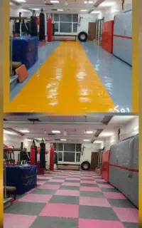 تکواندو کونگفوتوآ هاپکیدو بوکس کیک بوکس mma