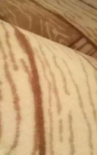 موکت فقط یکسال کارکرده