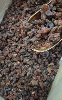 کشمش آفتابی(گله)  کاشمر با بازدهی بالا