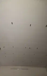 نیروی برای نصابی