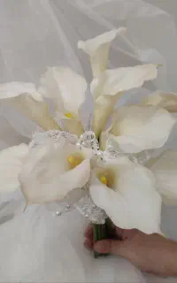 دسته گل عروس بهمراه تاج و گل جیب داماد