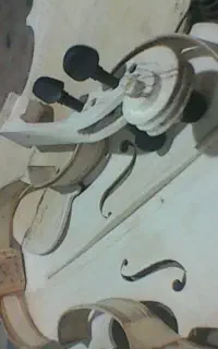 سازگر صالحی پور