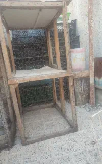 قفس پرنده