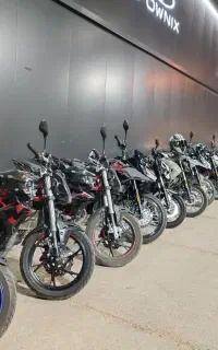 همراه شیراز گردی