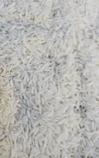 برنج درجه ۱مستقیم ازکشاورز