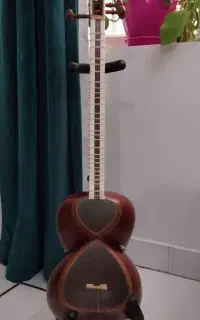 تار حرفه ای