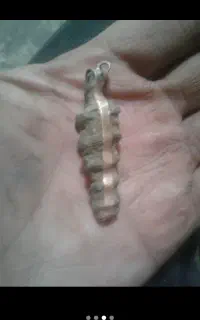 گمشده