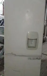 یخچال فیلور