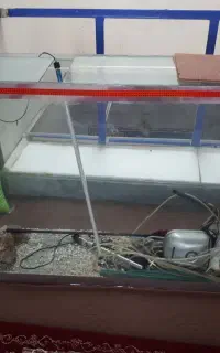آکواریوم