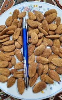 خرید وفروش انواع بادام