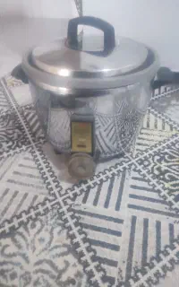 پلوپزمدل ژاپن
