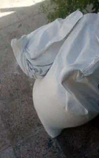 دوکیسه ارد