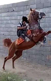 نریان بزن بهادور یکبندی