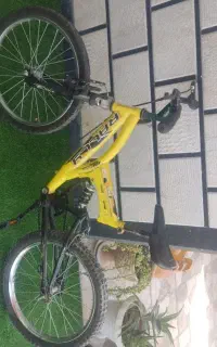 دوچرخه ها در باشت هستن
