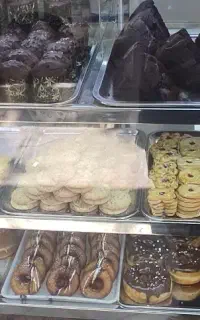 نیرو فروشنده خانم