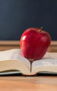 آموزش زبان،جلسه ی اول رایگان،تخفیف های ویژه