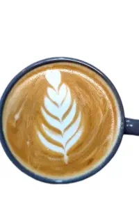 نیروی کار برای کافه