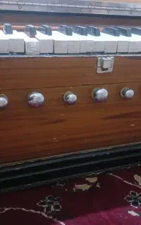 هارمونی   دوسور خوش صدا چپ سور هست