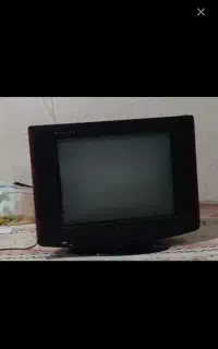 تلویزیون اسنوا