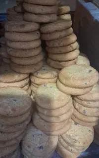 استخدام