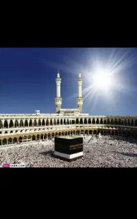فروش فیش حج