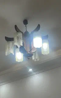 لوستر
