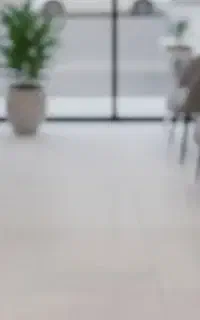 نظافت وگردگیری