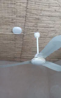 پنکه سقفی