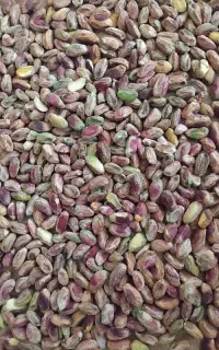 مغز پسته گلدار