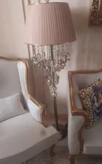یک جفت اباژور کنار سالنی